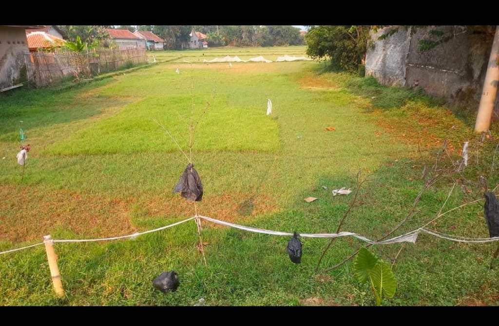 “Lahan Produktif Diduga Menjadi Lahan Tidur Selama 3 Tahun&nbsp;?!”