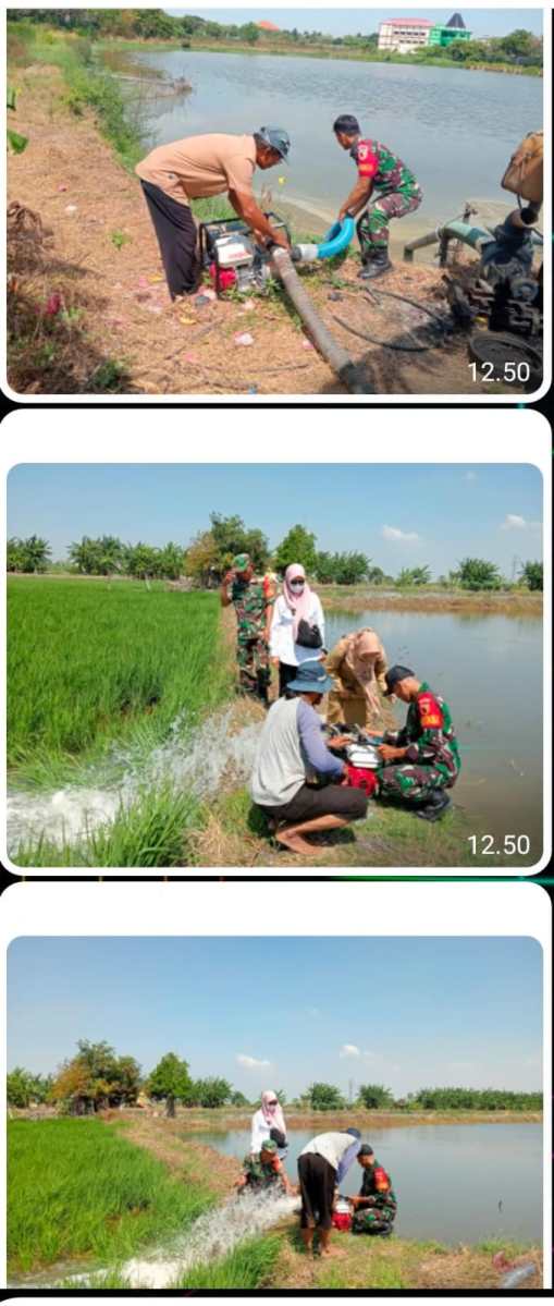 Pendampingan Pompanisasi, Babinsa Koramil 0817/07 Kebomas Kepada Petani&nbsp;Binaan